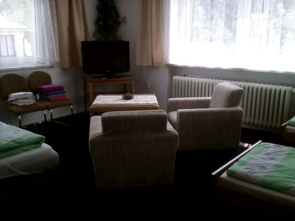 Vysocina Apartment Svratka